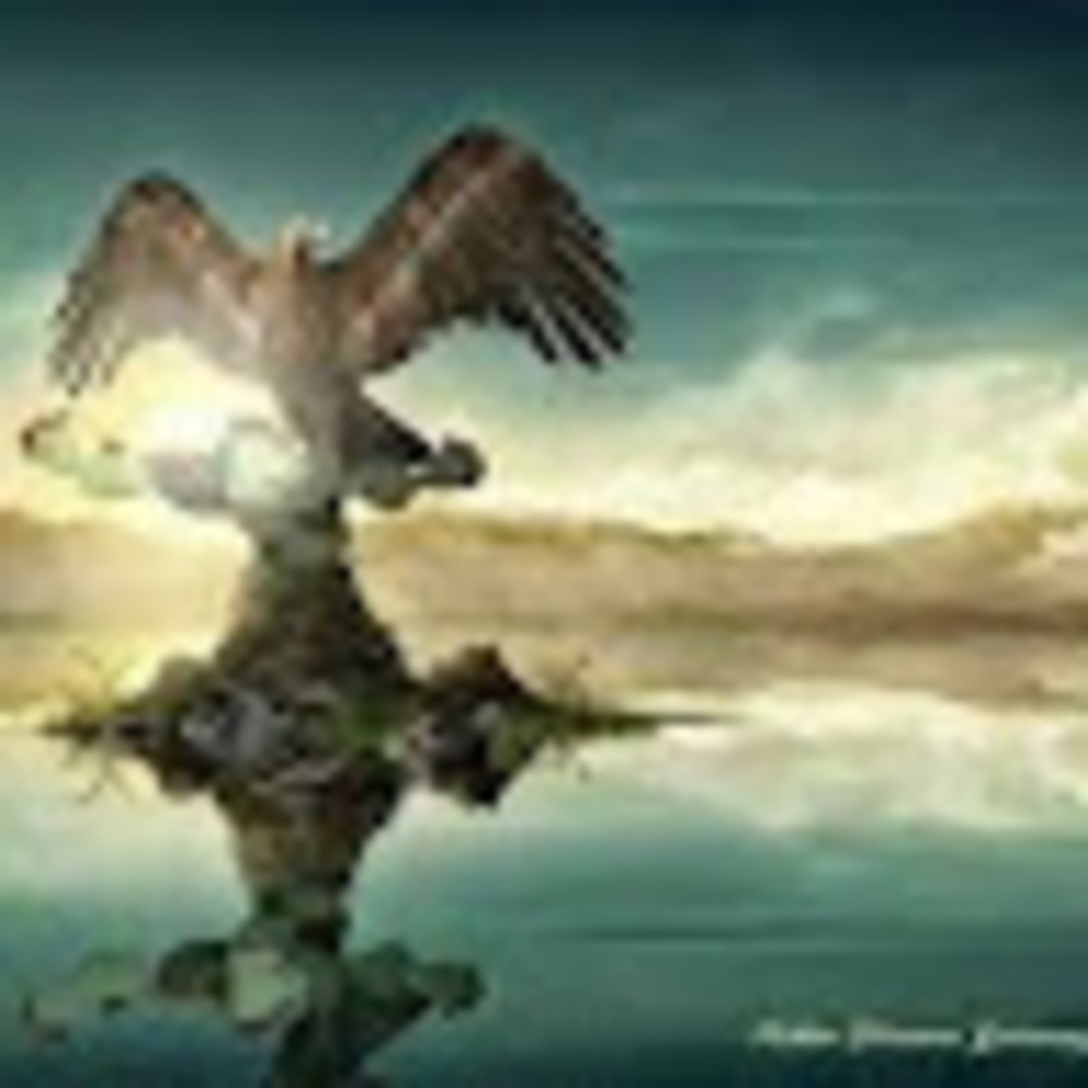 Meet your Posher, Adán